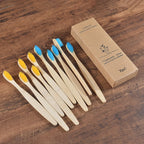 Brosse à Dents Bambou Lot 10